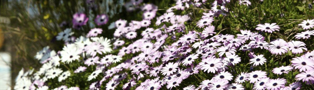 IMG_6111 - Arbeitskopie 2